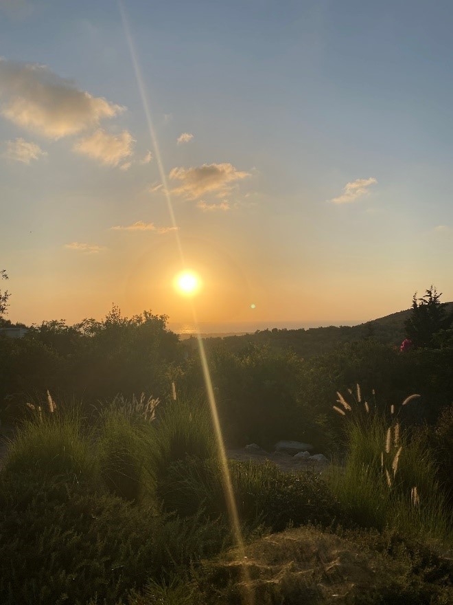 Caption: A gold-hour view of the Mediterranean Sea from the Ein Hod Artists Village.